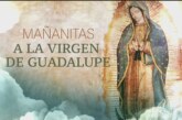 Virgen de Guadalupe: mira la misa y homenaje de hoy 12 de diciembre
